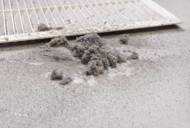 Best HVAC Maintenance and Cleaning  in Wayne, PA